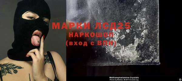 прущие грибы Магадан