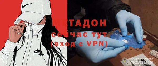 прущие грибы Магадан
