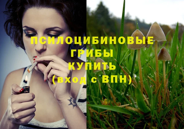 не бодяженный Михайлов