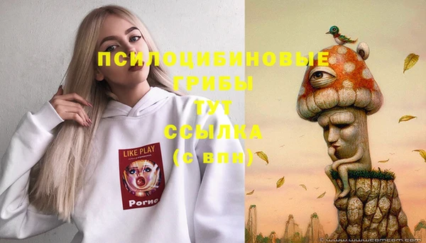 ГАЛЛЮЦИНОГЕННЫЕ ГРИБЫ Мегион
