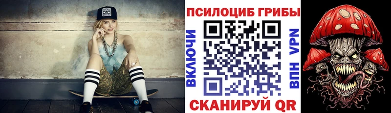 закладки Кемь Галлюциногенные грибы GOLDEN TEACHER